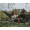 Гамак підвісний EASY CAMP Pine Hammock XL 300x200см Olivine (931586)