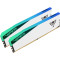 Модуль памяти PATRIOT Viper Elite 5 RGB DDR5 7000MHz 48GB Kit 2x24GB (PVER548G70C32KW)