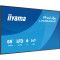 Информационный дисплей 64.5" IIYAMA ProLite LH6564UHS-B1AG