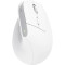 Вертикальна миша TRUST Bayo+ Multidevice Ergonomic Wireless White (25399)