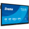 Интерактивный дисплей 65" IIYAMA ProLite TE6513A-B1AG 4K UHD