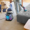 Моющий пылесос для чистки ткани SHARK StainStriker HairPro Pet Stain and Spot Cleaner (PX250EUT)