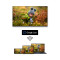 Телевизор THOMSON 65" QLED 4K 65QG7C04