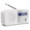 Портативный радиоприёмник SHARP DR-P420 Snowy White