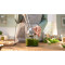 Блендер BOSCH ErgoMaster MSM6M831