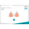 Патч-корд DIGITUS U/UTP Cat.6 CCA 10м Gray (DK-1612-100)