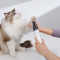 Набор для ухода за животными MOVA Pet Grooming G1Pro