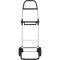 Сумка-візок ROLSER Big Polar 2 44L Negro (BIG004-1023)