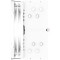Кулер для процессора ZALMAN CNPS9X Perfoma Plus ARGB White