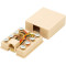 Розетка накладна RITAR RJ-45 Cat.3 UTP Beige (STR-8P8CRJ45V-1)