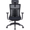 Кресло офисное OFFICEPRO Balance OC620 Black
