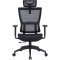 Кресло офисное OFFICEPRO Elegant OC660 Black