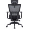 Кресло офисное OFFICEPRO Elegant OC660 Black