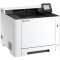 Принтер KYOCERA Ecosys PA2101cx (110C253NL0)
