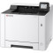 Принтер KYOCERA Ecosys PA2101cx (110C253NL0)