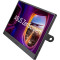 Портативний монітор 15.6" ASUS ZenScreen MB169CK