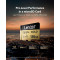 Карта памяти LEXAR microSDXC Professional Gold 128GB UHS-II U3 V60 A1 Class 10 (LMSGOLD128G-BNNNG)