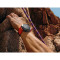 Смарт-часы SAMSUNG Galaxy Watch Ultra LTE Titanium Silver (SM-L705FZS2SEK)