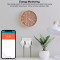 Умная розетка двойная TUYA Smart Socket Wi-Fi (HS084134)