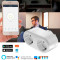 Умная розетка двойная TUYA Smart Socket Wi-Fi (HS084134)