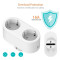 Умная розетка двойная TUYA Smart Socket Wi-Fi (HS084134)
