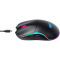 Миша HAVIT MS1020WB Black