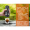 Портативна кавоварка WACACO Nanopresso w/capsule adapter Gray