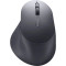 Мышь DELL Premier MS900 Black (570-BBCB)