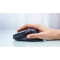 Мышь DELL Premier MS900 Black (570-BBCB)