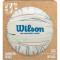 М'яч для пляжного волейболу WILSON Shoreline Gen Green Size 5 (WV4007701XBOF)