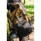 Туристический рюкзак NATUREHIKE CNK2300016 Helium Outdoor Backpack 30+5L Brown (6976507661133)
