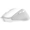 Миша TRUST Nito Silent White (25550)