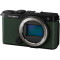 Фотоаппарат PANASONIC Lumix DC-S9 Dark Olive Lumix S 18-40mm f/4.5-6.3 (DC-S9NE-G)