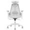 Крісло геймерське ASUS ROG Destrier Core White