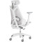 Крісло геймерське ASUS ROG Destrier Core White