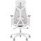 Крісло геймерське ASUS ROG Destrier Core White