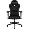 Кресло геймерское TX3 Eaze V2 Racer Black