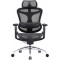 Кресло офисное SIHOO Doro C300 Pro Mesh Black