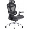 Кресло офисное SIHOO Doro C300 Pro Mesh Black