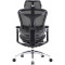 Кресло офисное SIHOO Doro C300 Pro Mesh Black