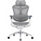 Кресло офисное SIHOO Doro C300 Pro Mesh White