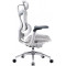Кресло офисное SIHOO Doro C300 Pro Mesh White