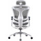 Кресло офисное SIHOO Doro C300 Pro Mesh White