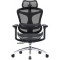 Крісло офісне SIHOO Doro C300L Mesh Black
