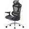 Крісло офісне SIHOO Doro C300L Mesh Black