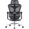 Крісло офісне SIHOO Doro C300L Mesh Black
