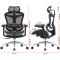 Крісло офісне SIHOO Doro C300L Mesh Black