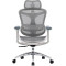 Крісло офісне SIHOO Doro C300L Mesh White