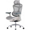 Крісло офісне SIHOO Doro C300L Mesh White