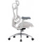 Крісло офісне SIHOO Doro C300L Mesh White
